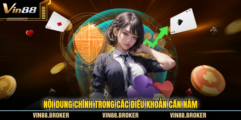 Nội dung chính trong các điều khoản cần nắm